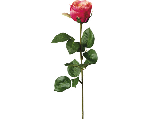 Kunstpflanze Gartenrosen Höhe: 69 cm rosa