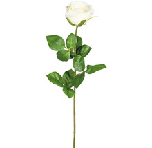Kunstpflanze Gartenrosen Höhe: 69 cm creme