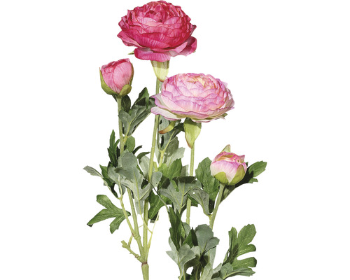 Kunstpflanze Ranunkel Höhe: 40 cm rosa