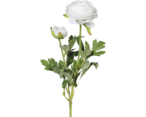 Kunstpflanze Ranunkel Höhe: 40 cm weiß