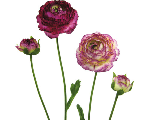 Kunstpflanze Ranunkel Höhe: 40 cm lila
