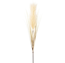 Kunstpflanze Pampasgras Höhe: 115 cm creme