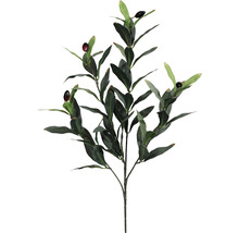 Kunstpflanze Olivenzweig Höhe: 50 cm grün