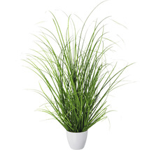 Kunstpflanze Grasbusch im Topf Höhe: 60 cm grün
