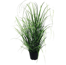 Kunstpflanze Grasbusch Höhe: 75 cm grün
