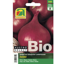 Bio Zwiebelsamenpackung