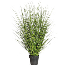 Kunstpflanze Miscanthus Höhe: 140 cm grün