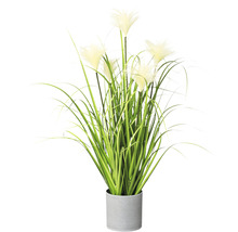 Kunstpflanze Riedgras Höhe: 66 cm grün