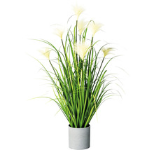Kunstpflanze Riedgras Höhe: 76 cm grün
