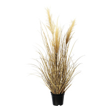 Kunstpflanze Pampasgras Höhe: 76 cm grün