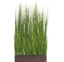 Dekorative Grasbusch in einem braunen Pflanzgefäß