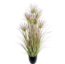 Kunstpflanze Cyperngras Höhe: 95 cm rot