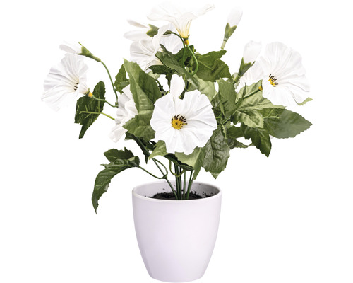 Kunstpflanze Petunie Höhe: 28 cm weiß