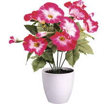 Kunstpflanze Petunie im Topf weiß Höhe: 28 cm pink