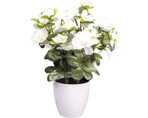 Kunstpflanze Azalee Höhe: 26 cm weiß
