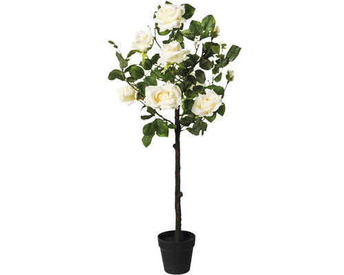 Kunstpflanze Rosenstamm im Topf Höhe: 95 cm creme