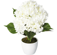 Künstliche Hortensie in weißem Topf