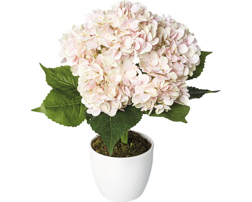 Kunstpflanze Hortensienstamm Höhe: 63 cm rosa