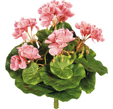 Kunstpflanze Minigeranie Höhe: 24 cm rosa