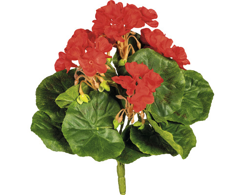 Kunstpflanze Minigeranie Höhe: 24 cm rot