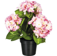 Kunstpflanze Hortensienbusch Höhe: 32 cm rosa