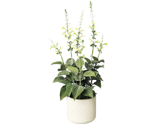 Kunstpflanze Salvie im Topf Höhe: 45 cm weiß