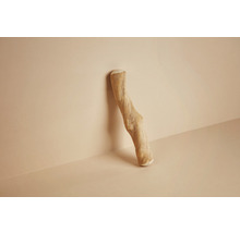 Dekorativer Ast aus Holz