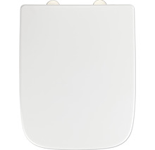 Toilettendeckel in eckiger Form