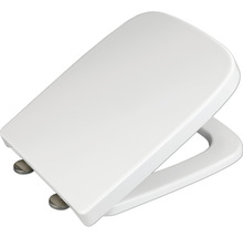 Toilettendeckel aus Kunststoff