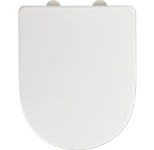 Toilettendeckel aus Kunststoff