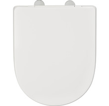 Toilettendeckel aus Kunststoff mit Edelstahlscharnieren