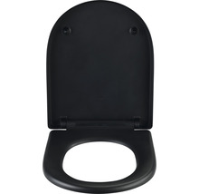 Schwarzer Toilettensitz