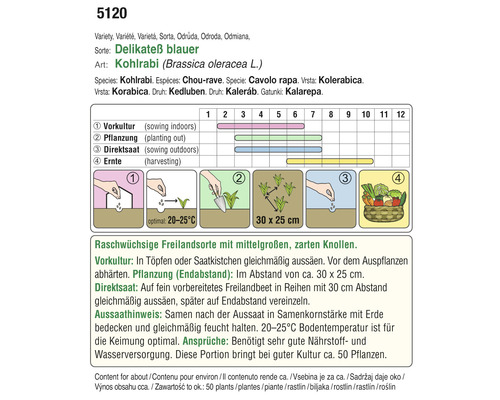 Informationen zum Anbau von blauem Kohlrabi