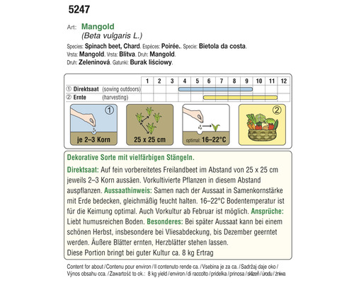 Mangold Anbauinformationen