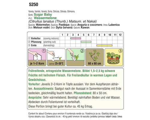 Informationen zur Wassermelone Sugar Baby