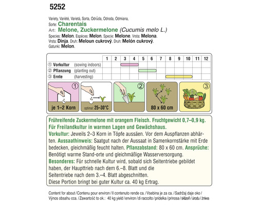 Informationen zu Zuckermelonen Charentais