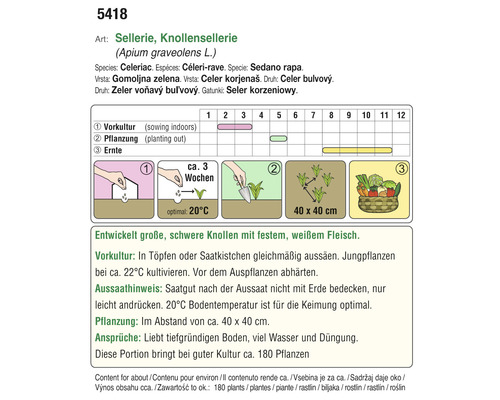 Informationen zum Anbau von Knollensellerie