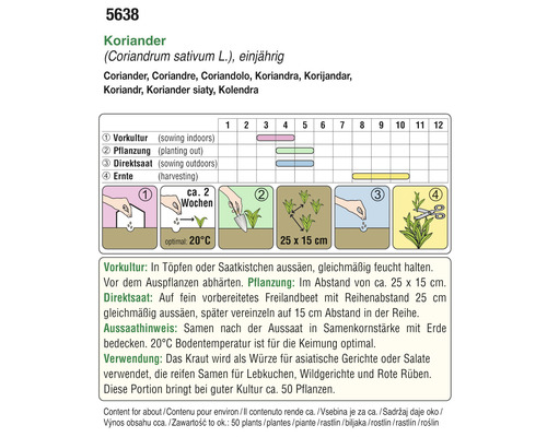 Informationen zur Aussaat von Koriander