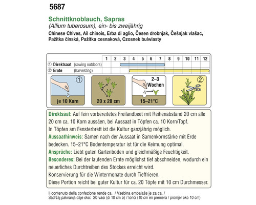 Informationen zum Schnittknoblauch Anbau