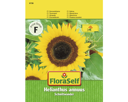 Sonnenblume ' Schnittwunder' FloraSelf samenfestes Saatgut Blumensamen