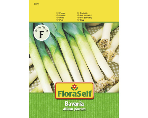Porree 'Bavaria' FloraSelf samenfestes Saatgut Gemüsesamen