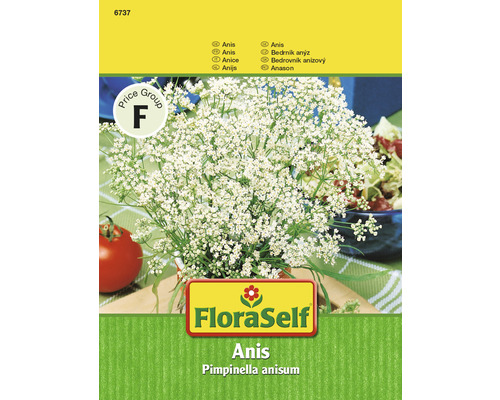 Anis FloraSelf samenfestes Saatgut Kräutersamen-0