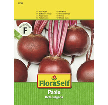 FloraSelf Rote Rübe Pablo Samenpackung