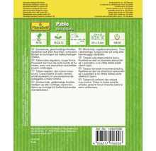 Saatgutpackung Pablo Beta vulgaris von FloraSelf