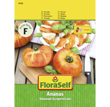 Tomate Ananas FloraSelf samenfestes Saatgut Gemüsesamen