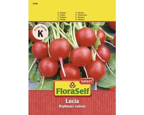 Radieschen 'Lucia' FloraSelf F1 Hybride Gemüsesamen