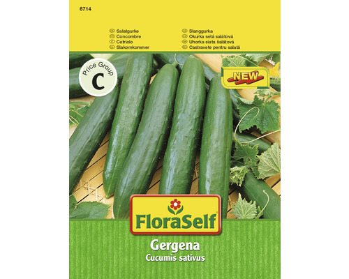Gurke 'Gergana' FloraSelf samenfestes Saatgut Gemüsesamen HORNBACH AT