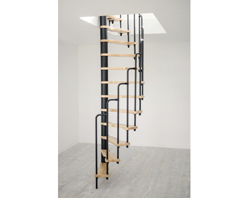 Pertura Spindeltreppe Nox Buche massiv Ø 140 cm Schwarz 11 Stufen 12 Steigungen Wendeltreppe mit Stufen aus Holz und Geländer aus Metall