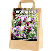 Blumenzwiebeln-Mischung für 1 m² Blumenbeet im Papiersack