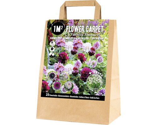 Blumenzwiebel-Mischung Blumenteppich für 1 m² 'Fantasy Flavours' mit Dahlie & Sterngladiole 25 Stk.